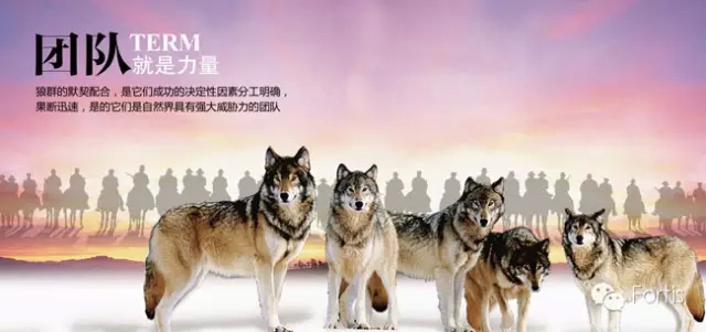 1446630104507215.jpg 6.webp.jpg