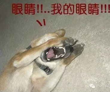 1.webp.jpg