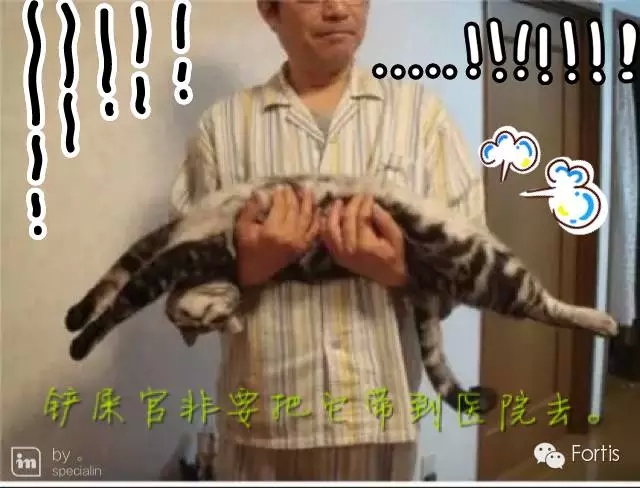 2.webp.jpg