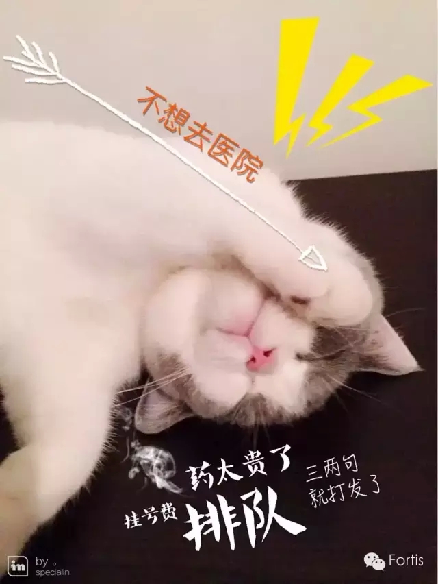 3.webp.jpg