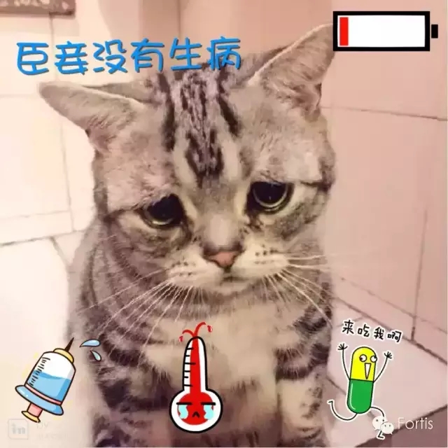 4.webp.jpg