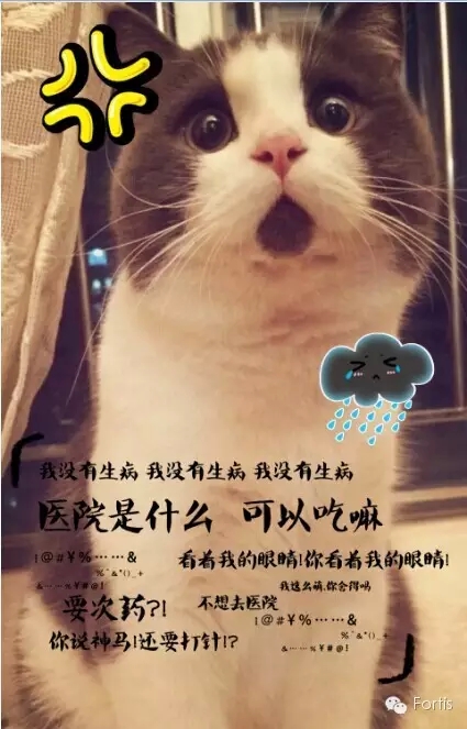 5.webp.jpg
