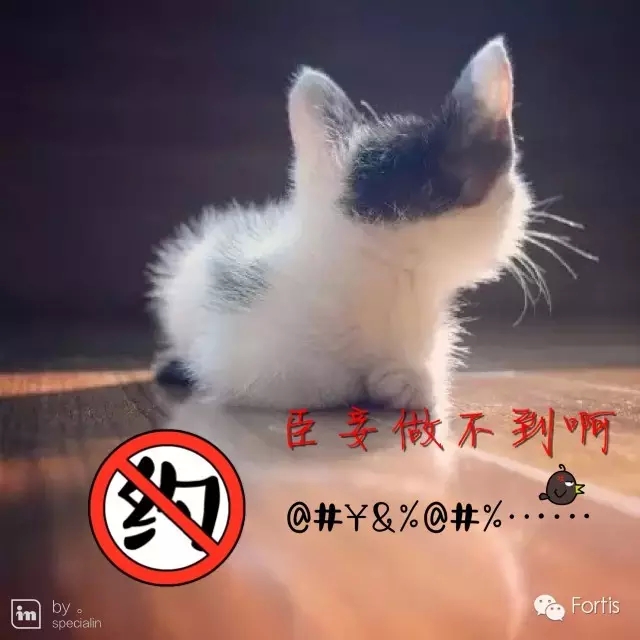 6.webp.jpg