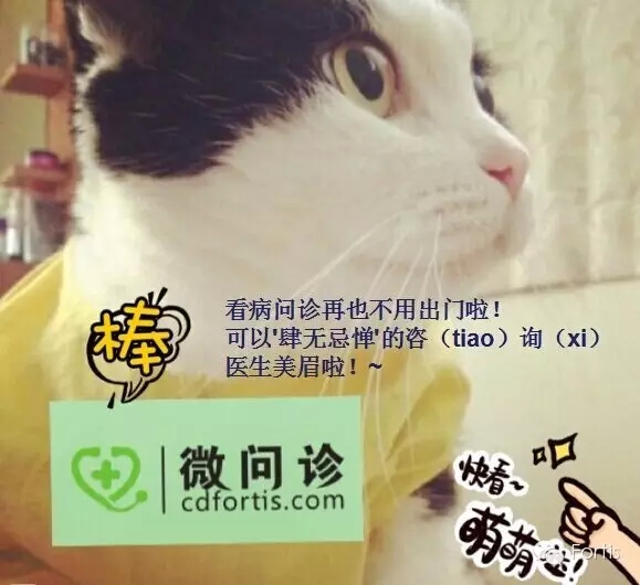 9.webp.jpg
