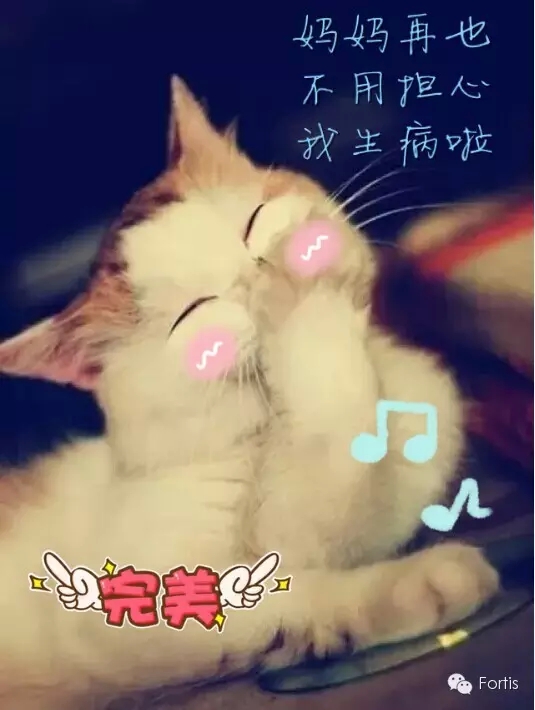10.webp.jpg