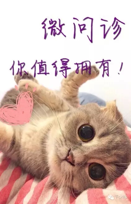 11.webp.jpg