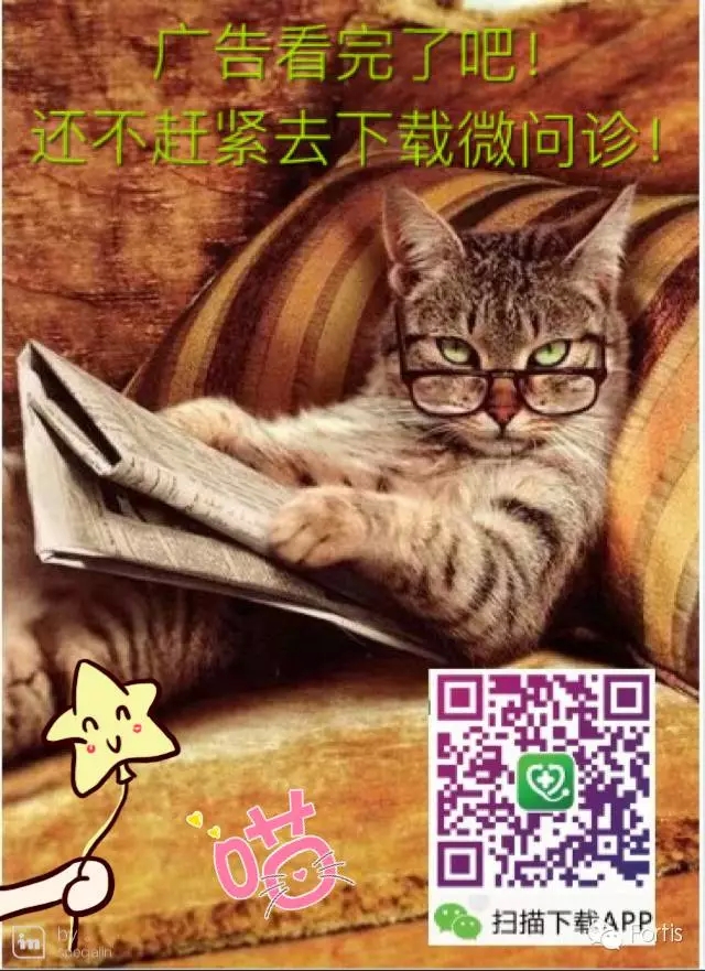 12.webp.jpg